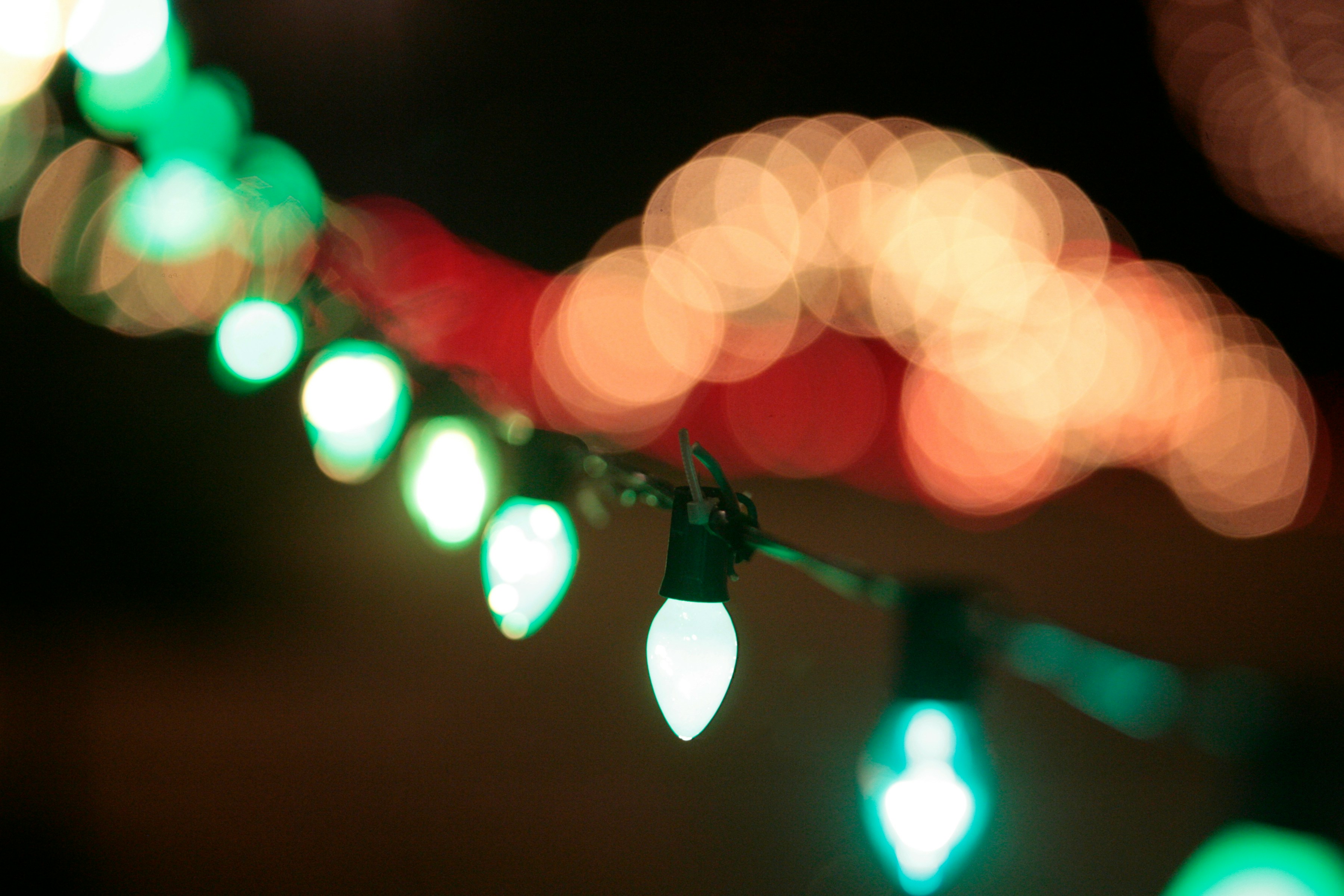 Festive holiday lights on a tree-lined street at night